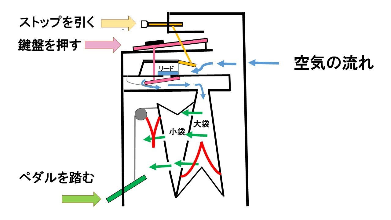 リードオルガンの構造